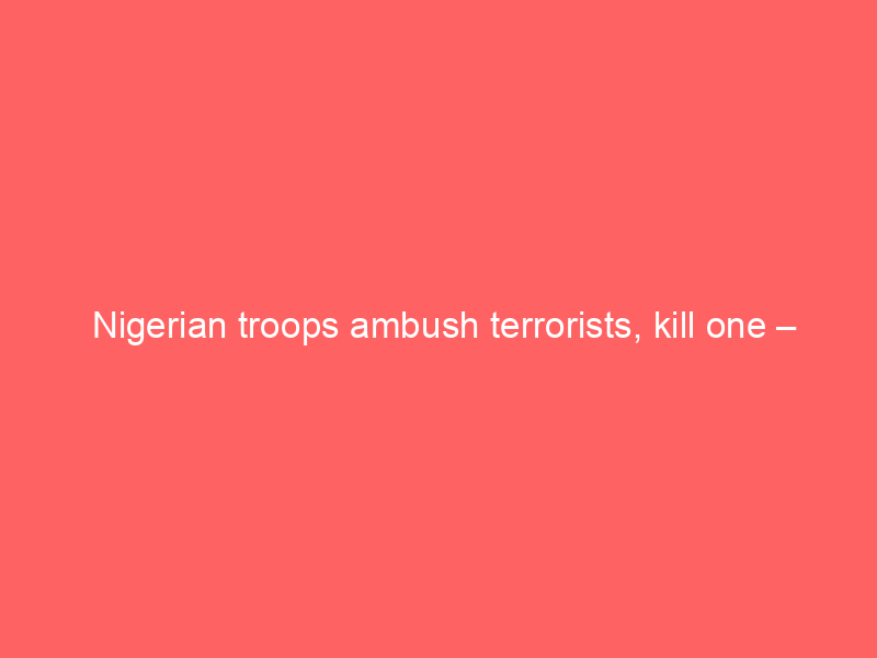 Nigerian troops ambush terrorists, kill one – Official