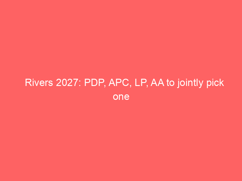 Rivers 2027: PDP, APC, LP, AA to jointly pick one governorship candida