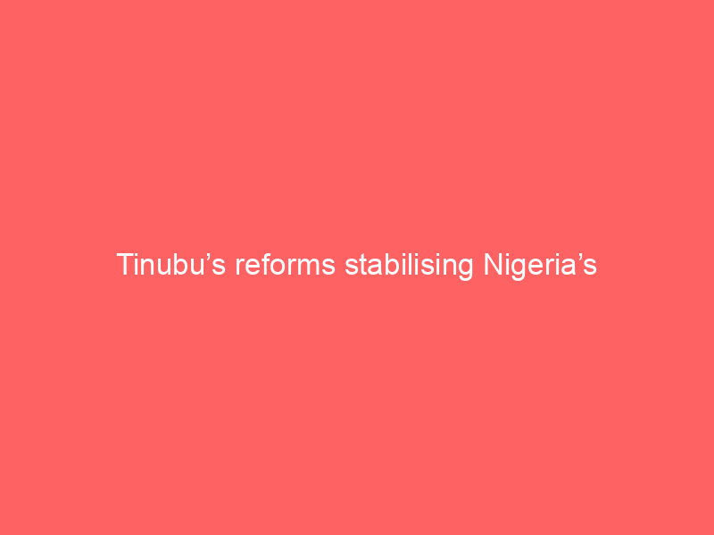 Tinubu’s reforms stabilising Nigeria’s economy — Erondu